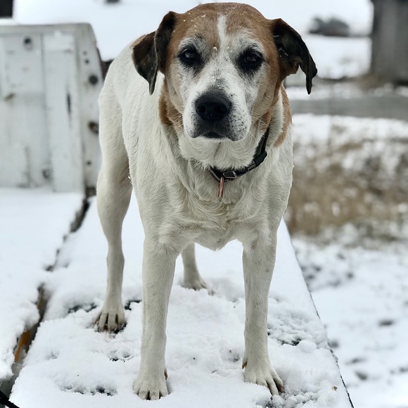 My Story - Picture 2 of 3